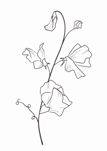 FINAL LOGO SWEET PEA e1665761956525 - Tomoka India Floral Design | Florist | Weddings | Events | Midlands | England